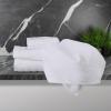 Tens Towels Pack of 6 Hand Towels, 100% Cotton, Lighter Weight, Quick to Dry, 16 x 28 Inches, Super Soft & Absorbent, Perfect for Bathroom & Kitchen, Dark Grey(White)