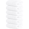 Tens Towels Pack of 6 Hand Towels, 100% Cotton, Lighter Weight, Quick to Dry, 16 x 28 Inches, Super Soft & Absorbent, Perfect for Bathroom & Kitchen, Blue(White)
